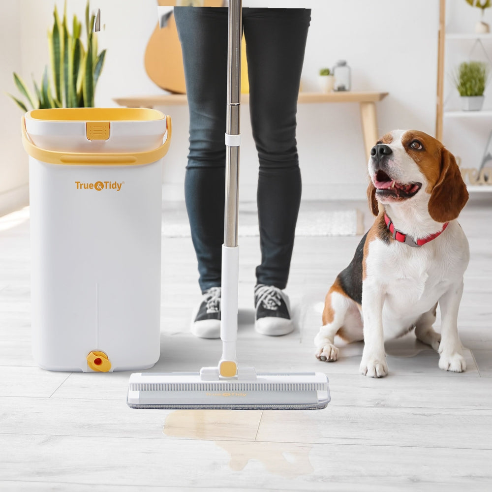 woman and dog cleaning floor with bucket 900