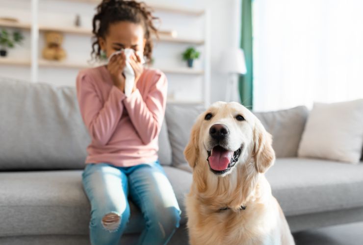child sneezing while sitting next to dog