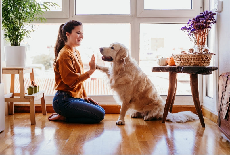 woman and dog sitting on clean wood floors at home